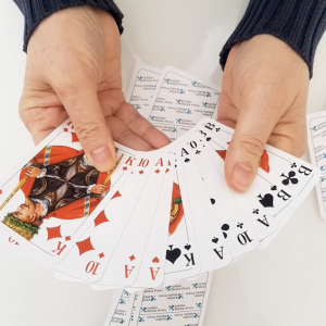 Skatkarten Sattler Media Press